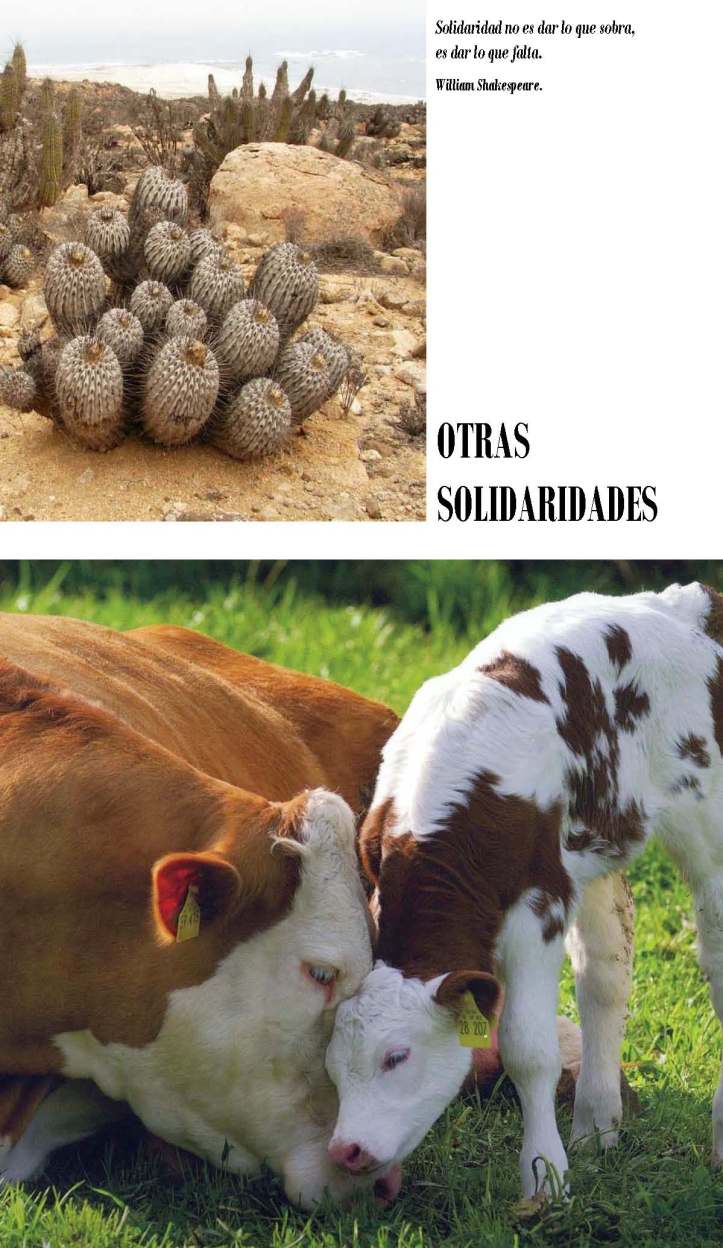 LA SOLIDARIDAD... Nº 3 Otras solidaridades..._Página_03