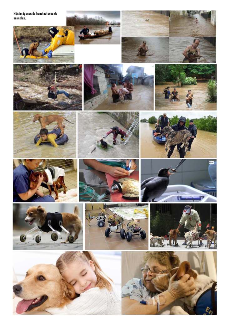 LA SOLIDARIDAD... Nº 3 Otras solidaridades..._Página_29