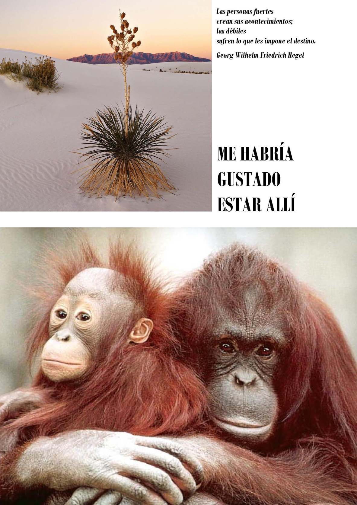 LA SOLIDARIDAD... Nº 3 Otras solidaridades..._Página_44