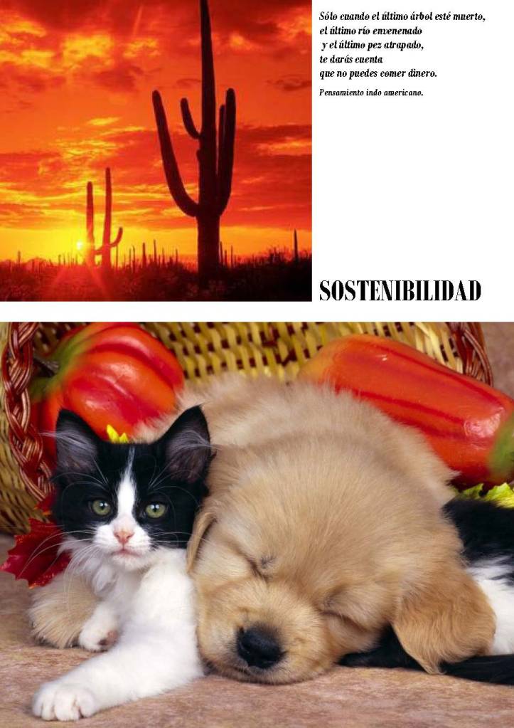 LA SOLIDARIDAD... Nº 4 Derechos universales..._Página_19