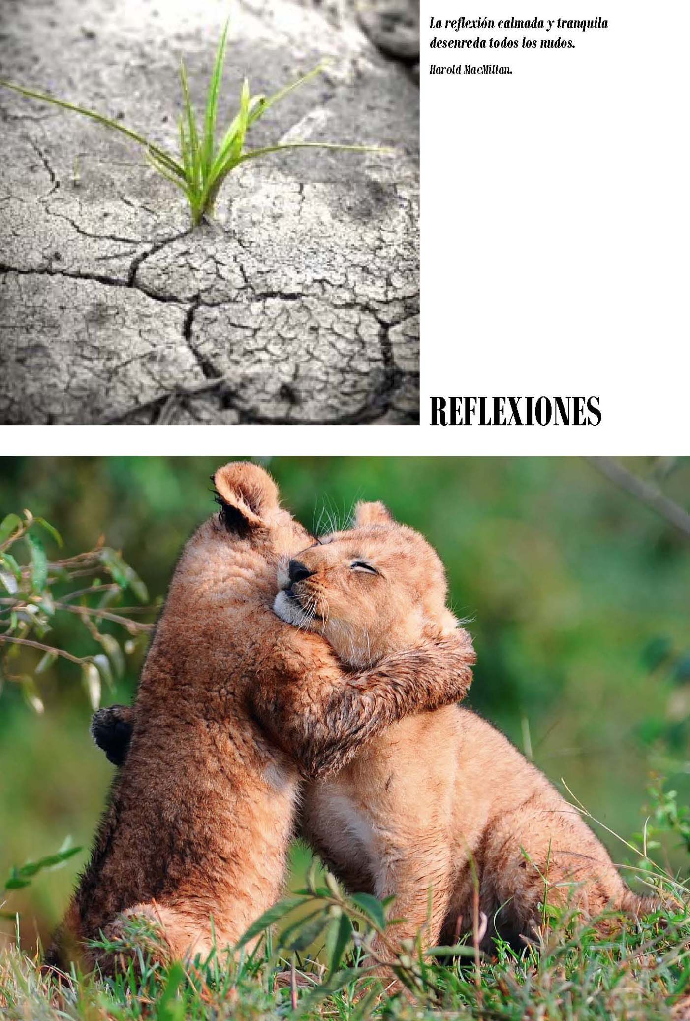 LA SOLIDARIDAD... Nº 6 Reflexiones..._Página_03