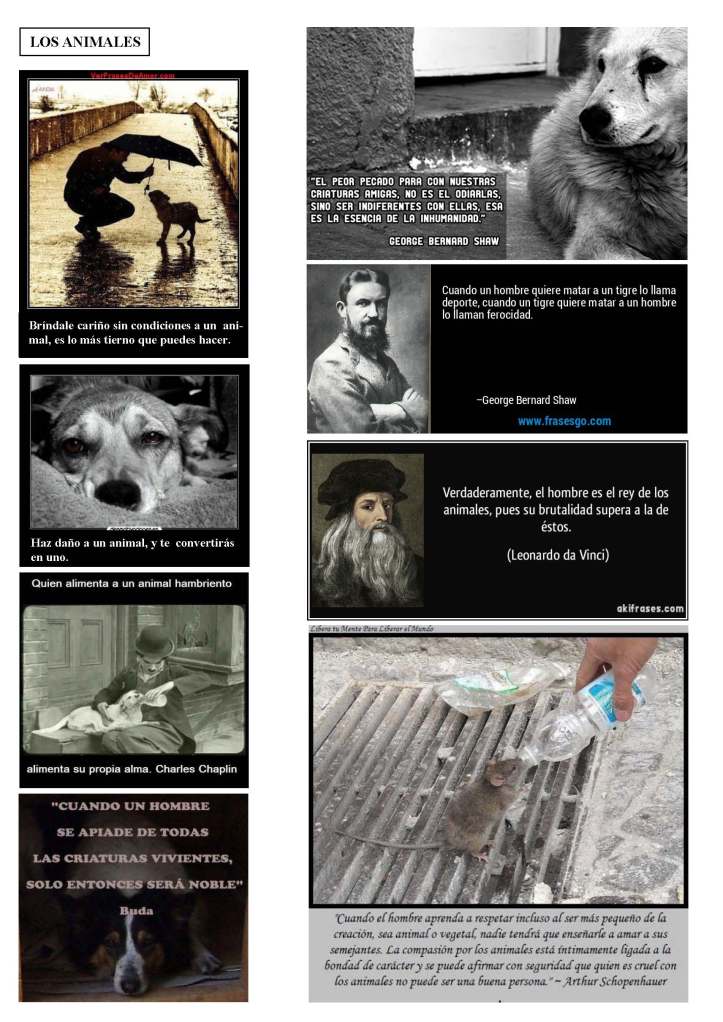 LA SOLIDARIDAD... Nº 6 Reflexiones..._Página_50