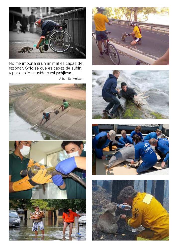 LA SOLIDARIDAD... Nº 5 Recomendaciones..._Página_47