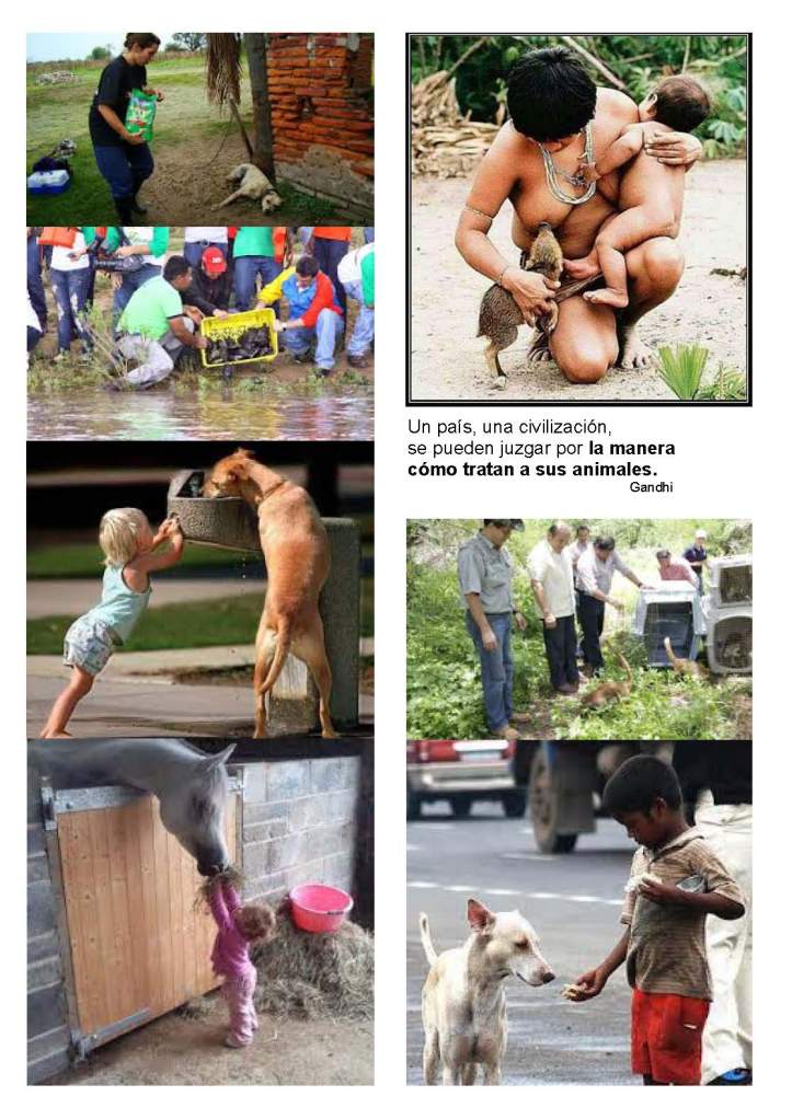 LA SOLIDARIDAD... Nº 5 Recomendaciones..._Página_48