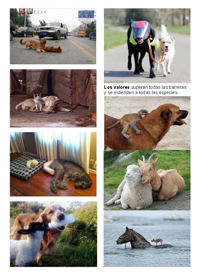 LA SOLIDARIDAD... Nº 5 Recomendaciones..._Página_49